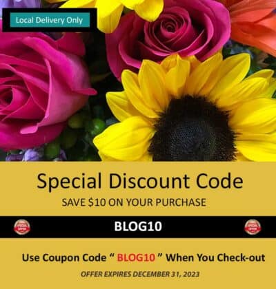 Special Discount Coupon Codes, Save $10 On Your Purchase