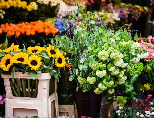 Consumer Insight to Best Seller Floral Products