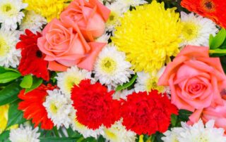 Flowers of Kingwood Offers Awesome Labor Day Flowers and Plants Same Day Flower Delivery