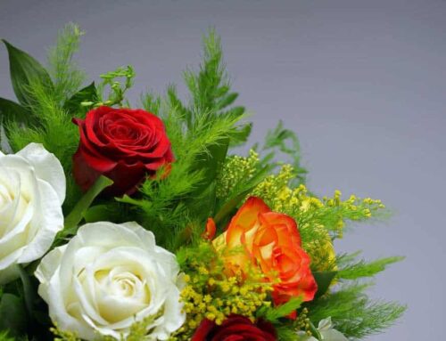 Flowers of Kingwood Proudly Offers Woodbranch Texas Flower Delivery