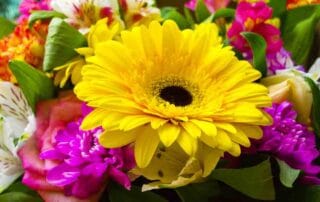 Flowers of Kingwood Offers Same Day Delivery of Beautiful Flowers