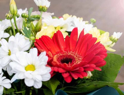 Compassionate Sympathy Flowers Honor Your Loved Ones