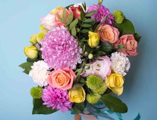 Thoughtfully Arranged Get-Well Flowers Convey Kindness and Encouragement