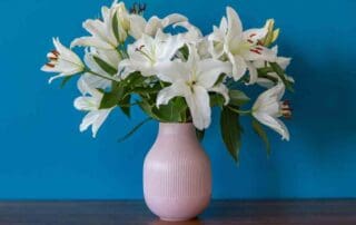 Teacher Appreciation Lilies